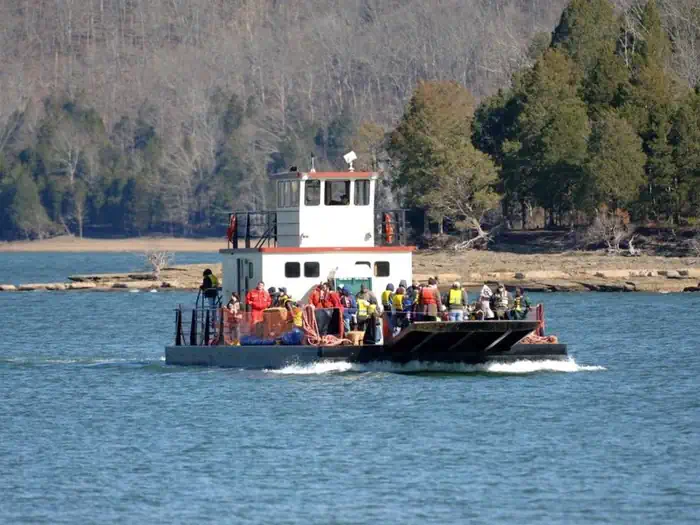 Dale Hollow Lake Eagle Watch photo 2