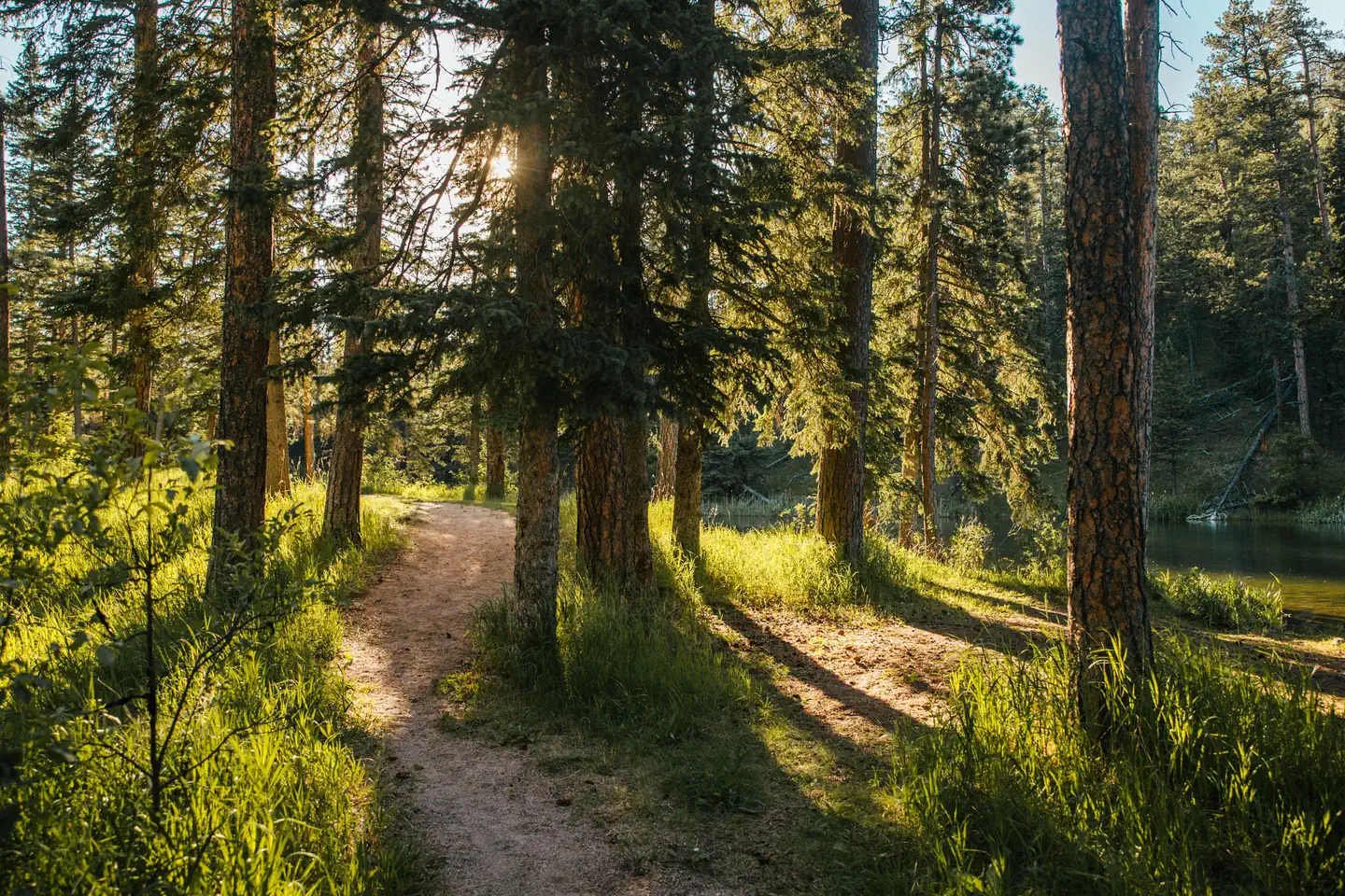 Dalton Lake Campground photo