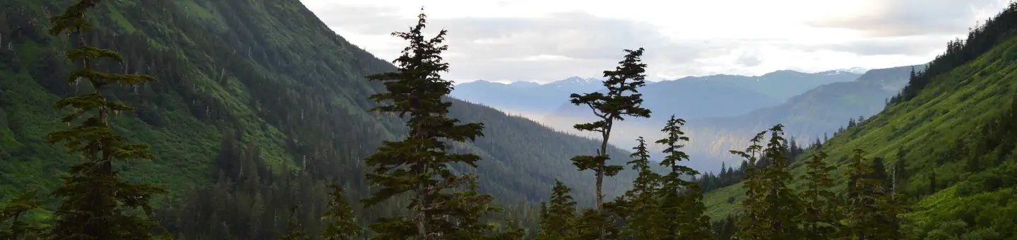 DAN MOLLER CABIN photo