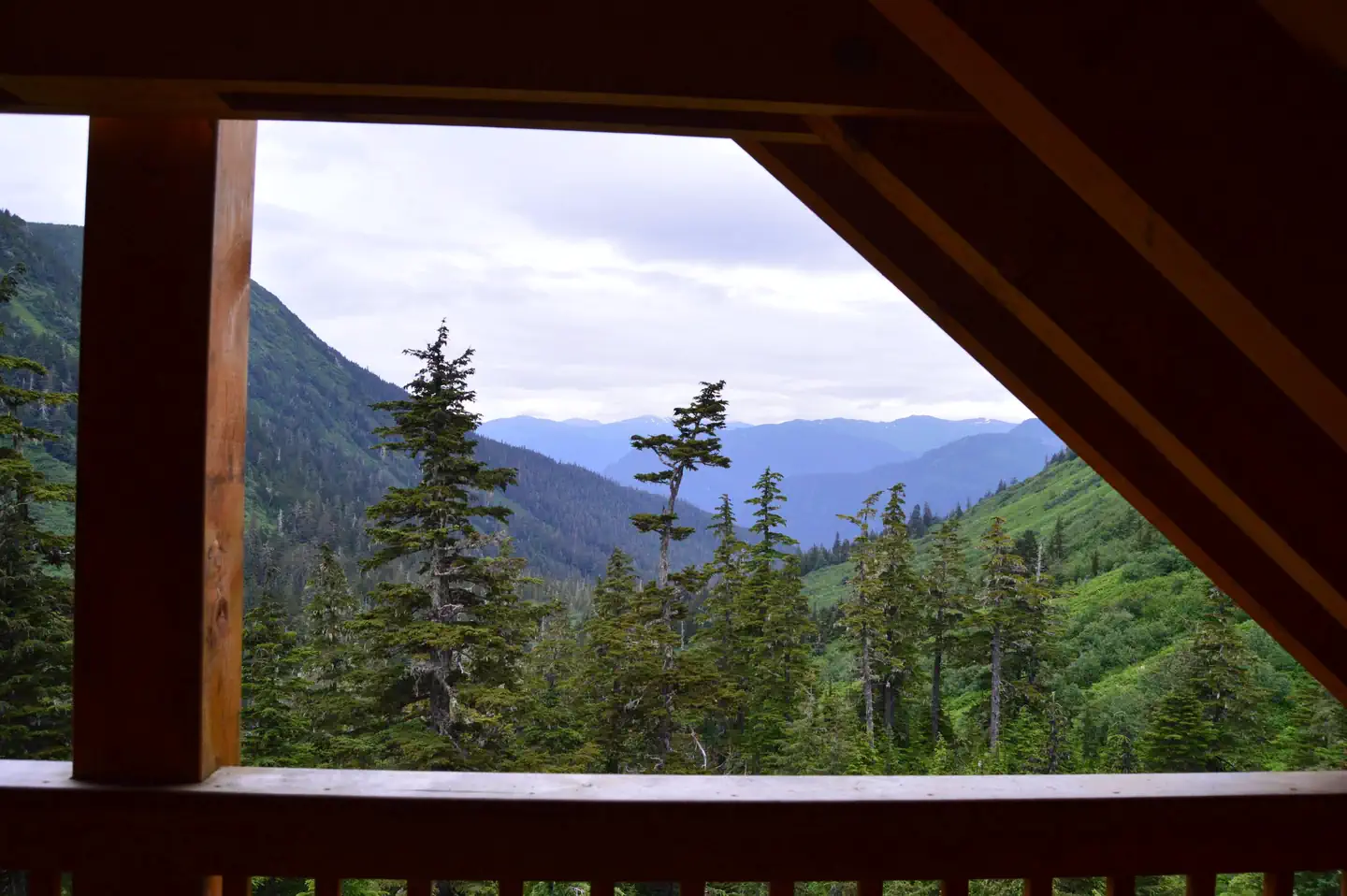 DAN MOLLER CABIN photo 2
