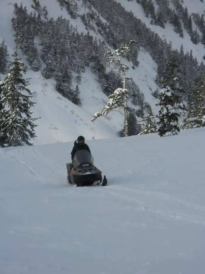 DAN MOLLER CABIN photo 4