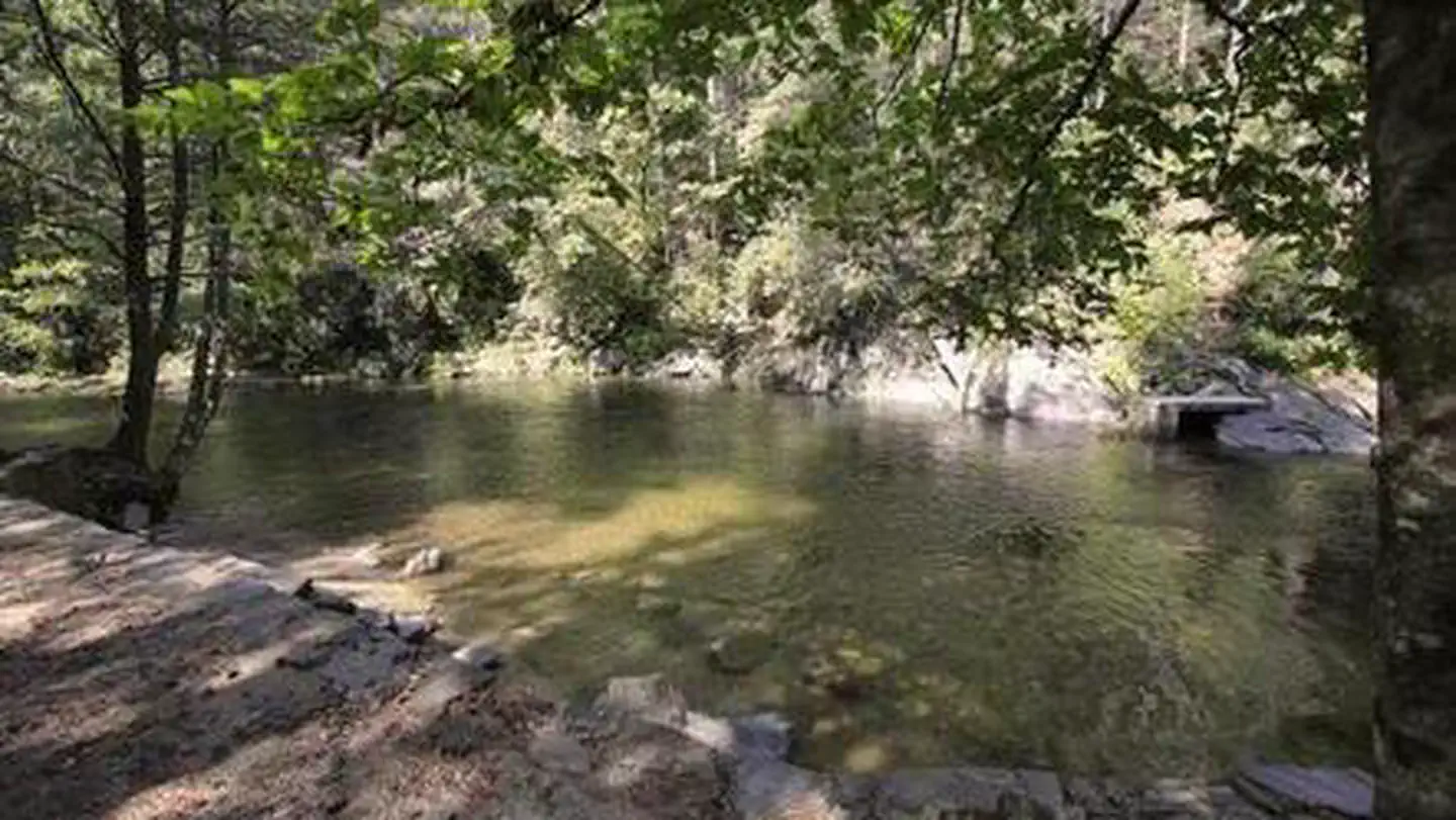 DAVIDSON RIVER photo