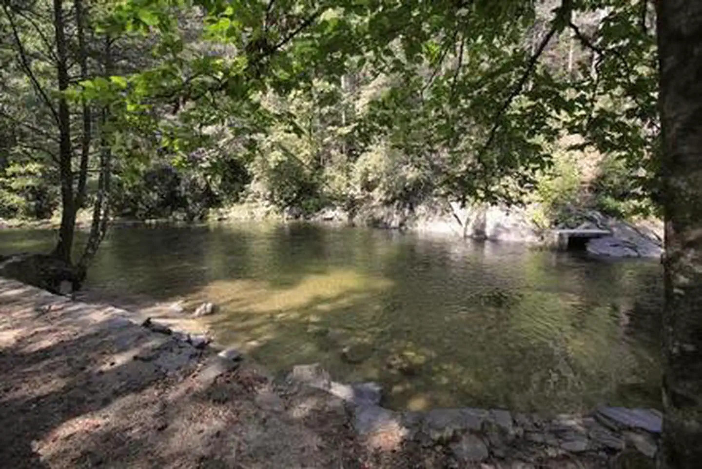 DAVIDSON RIVER photo 2