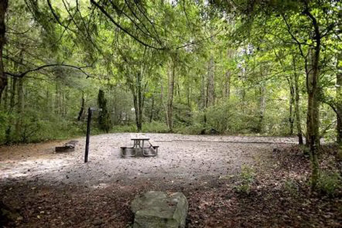 DAVIDSON RIVER photo 3