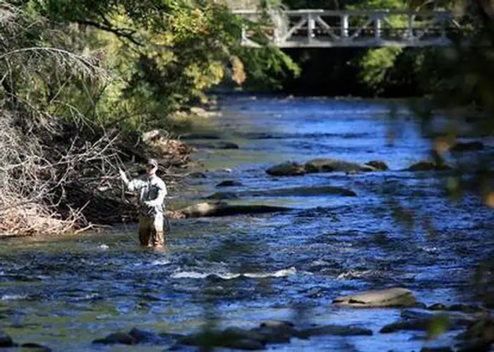 DAVIDSON RIVER photo 4