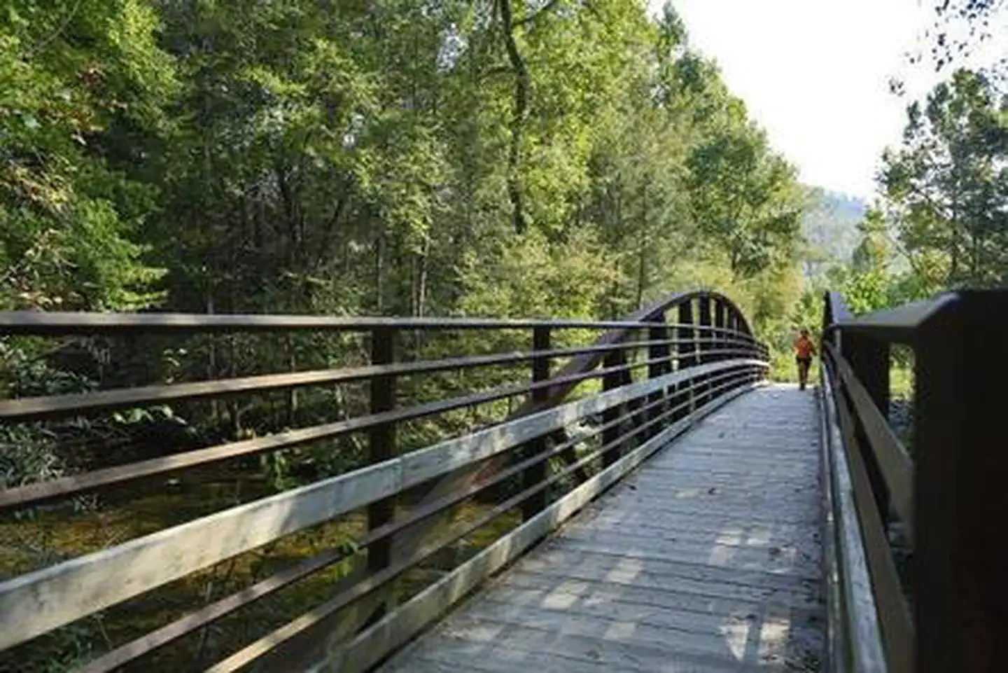 DAVIDSON RIVER photo 5
