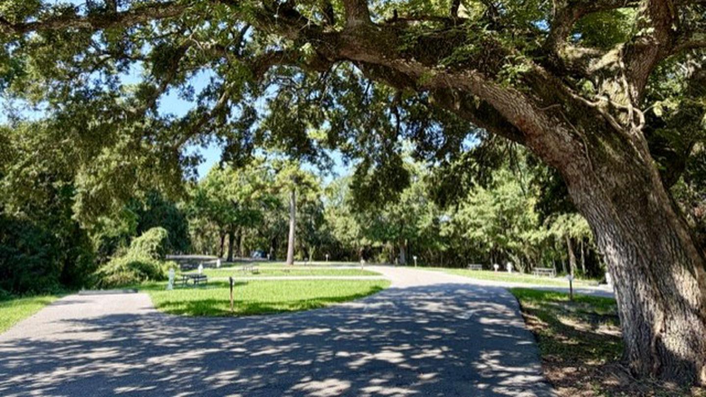 Davis Bayou Campground photo