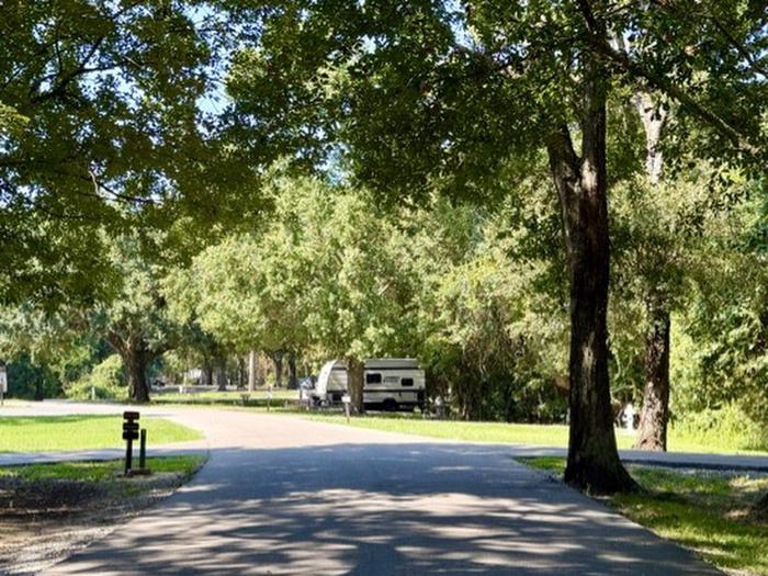 Davis Bayou Campground photo 3
