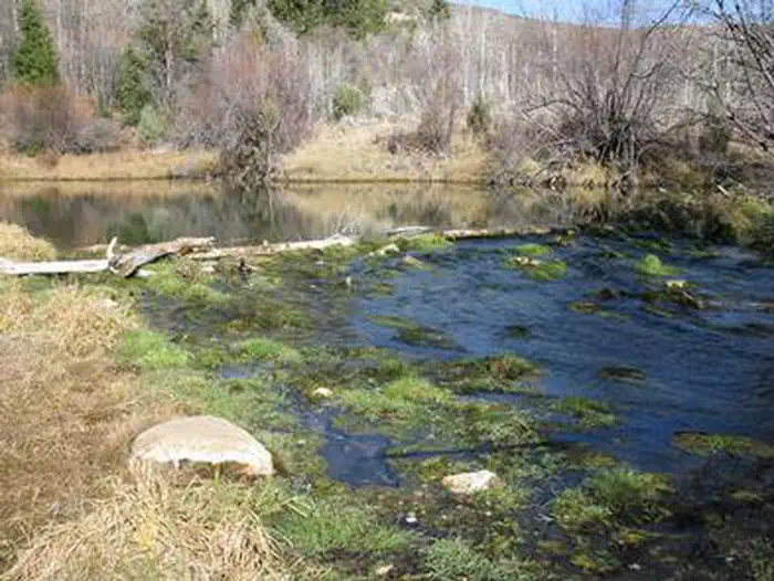 DAVIS CANYON CAMPGROUND photo 3