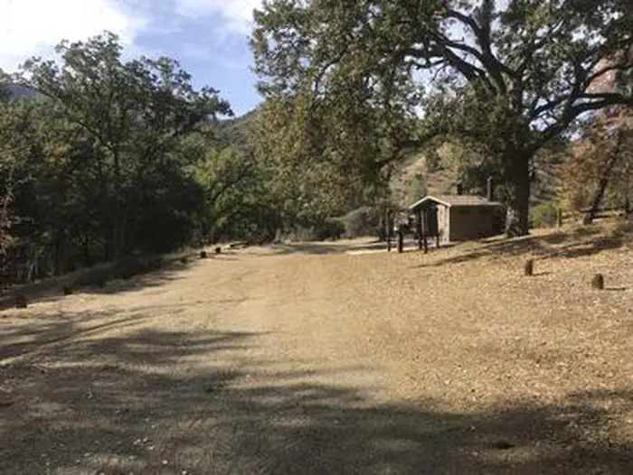 DAVY BROWN CAMPGROUND photo