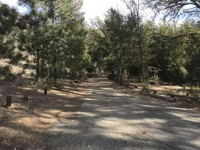 DAVY BROWN CAMPGROUND photo 2