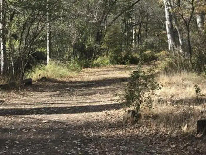 DAVY BROWN CAMPGROUND photo 4