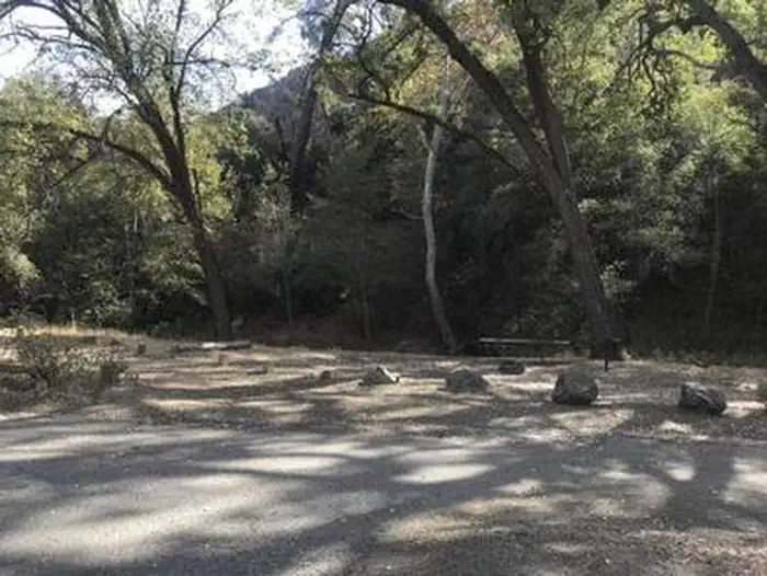 DAVY BROWN CAMPGROUND photo 5