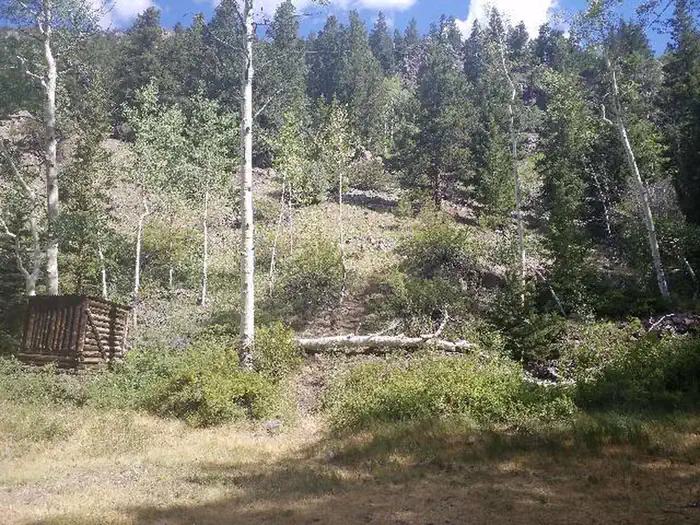 DAWSON CABIN photo 4