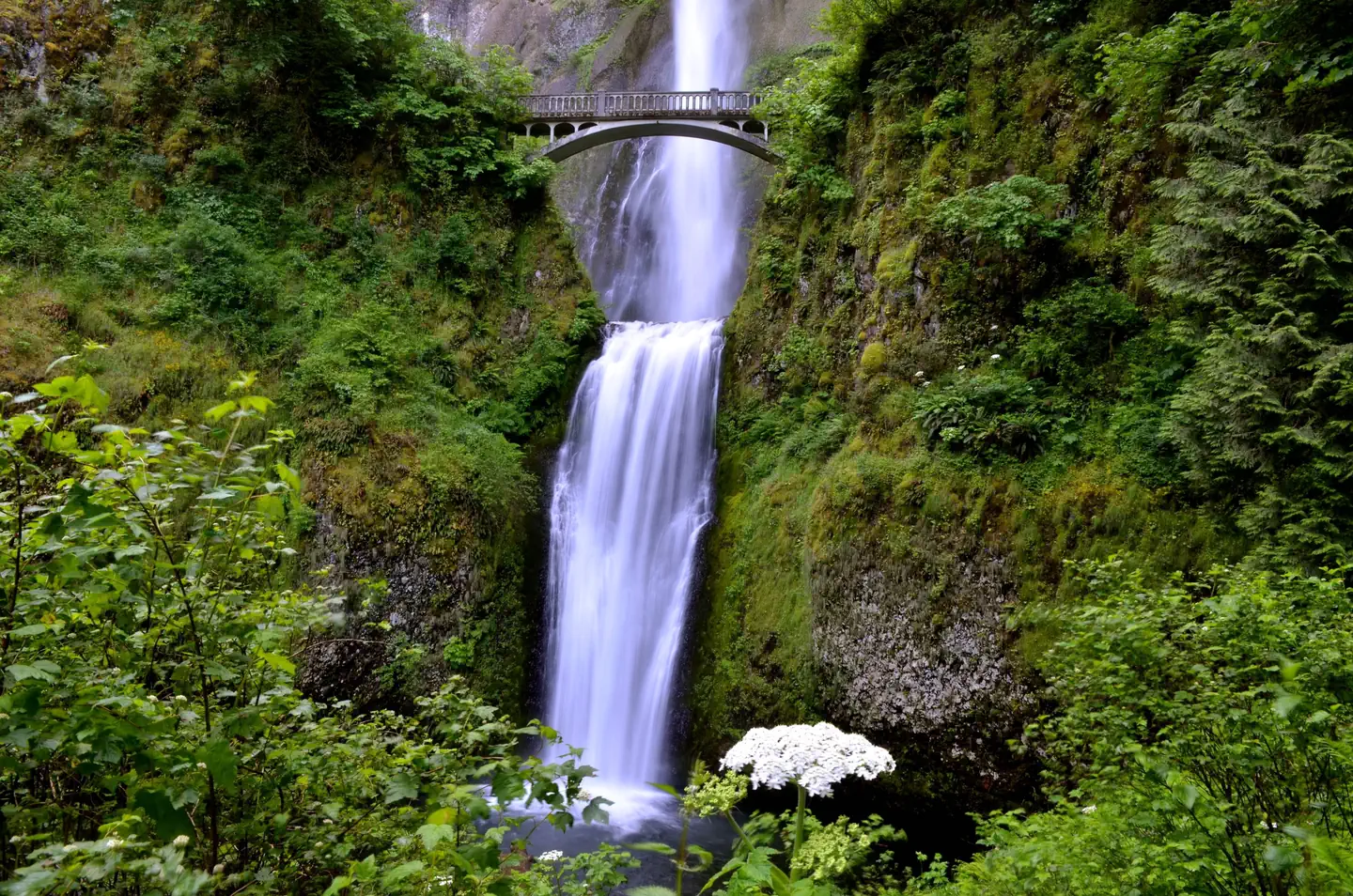 (Deactivated) Multnomah Falls Timed Reservation Tickets photo 2