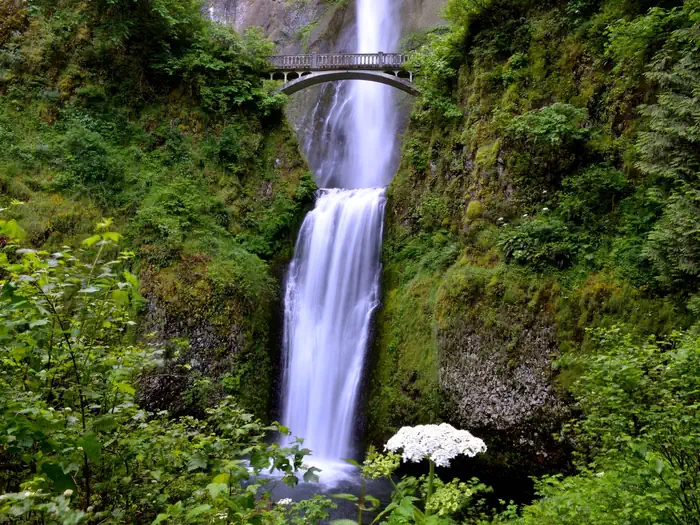 (Deactivated) Multnomah Falls Timed Reservation Tickets photo 3