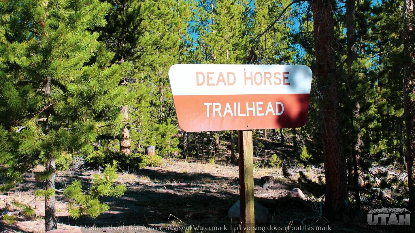 Deadhorse Trailhead Campground photo