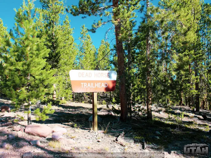 Deadhorse Trailhead Campground photo 3