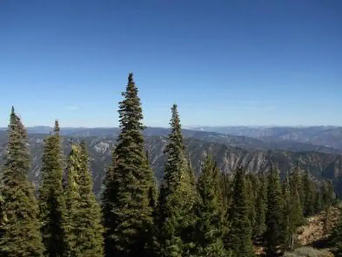 DEADWOOD LOOKOUT REC CABIN photo 5