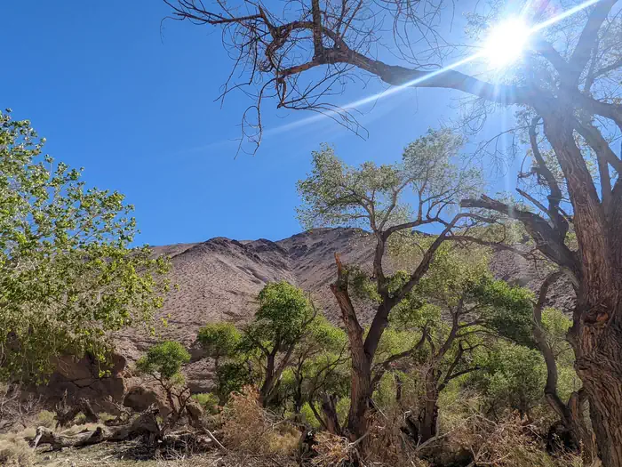 Death Valley National Park Wilderness Permits photo 3