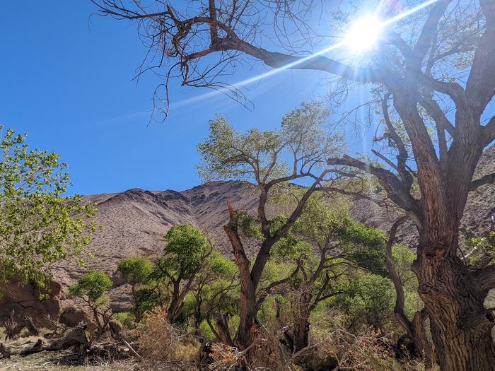 Death Valley National Park Wilderness Permits photo 4