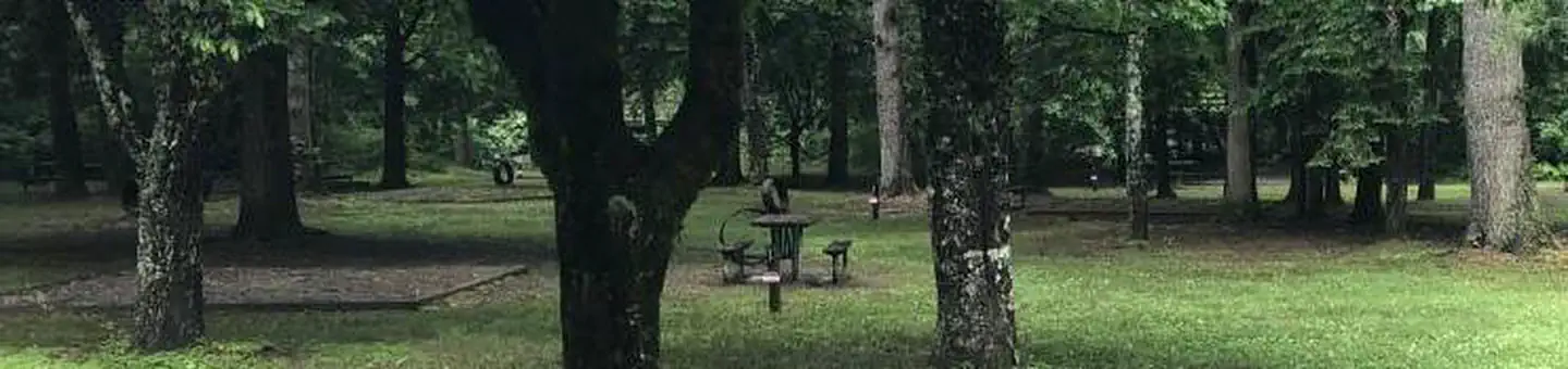 Deep Creek Campground (NC) photo