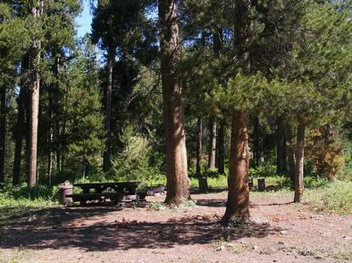 DEER CREEK CABIN (WY) photo 5