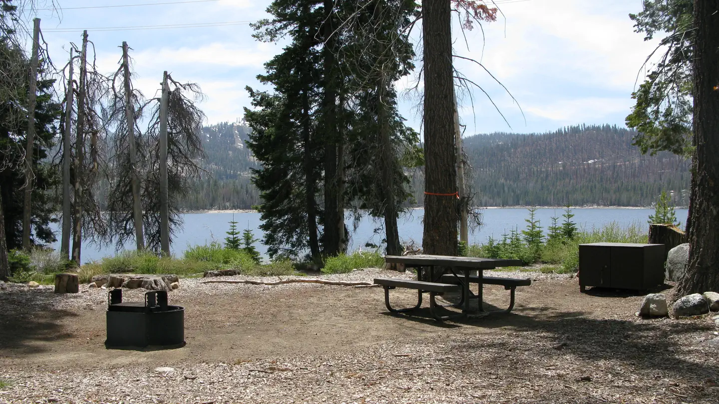 DEER CREEK photo