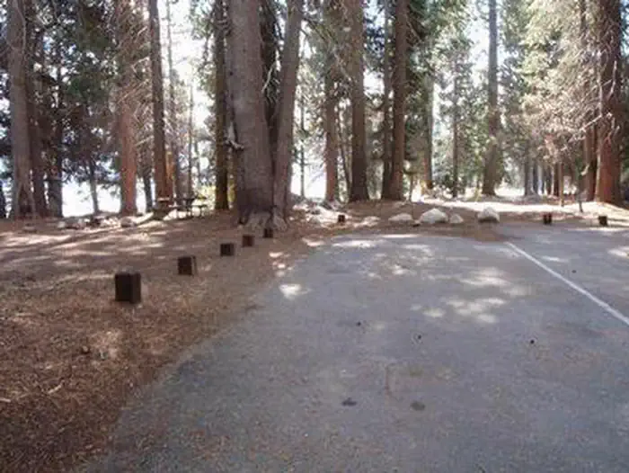 DEER CREEK photo 5