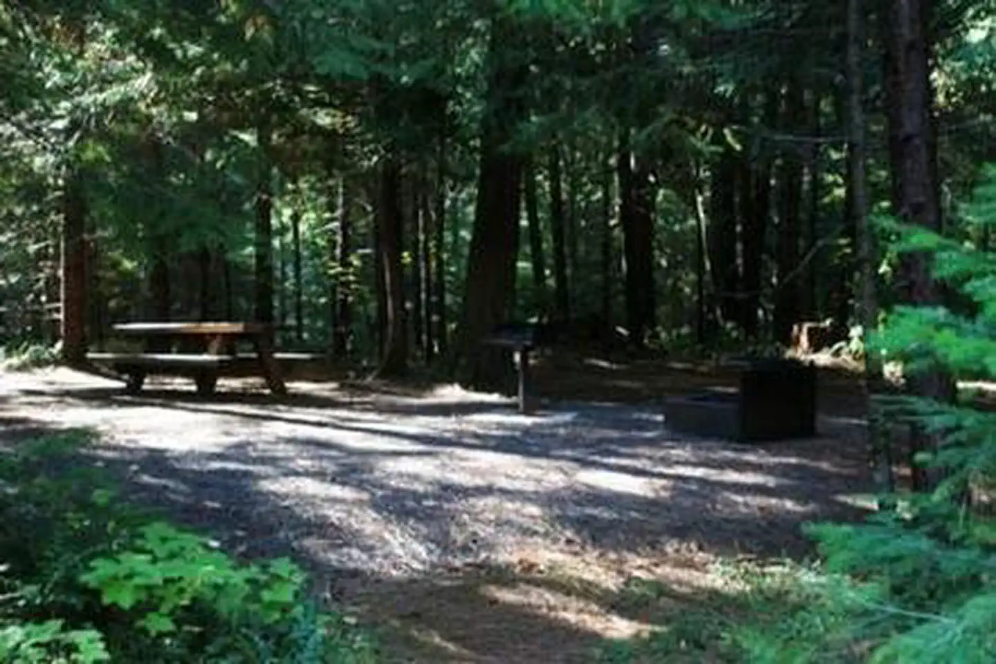 Deer Flat Group Site (Horseshoe Bend Campground) photo
