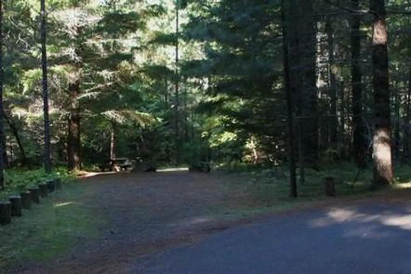 Deer Flat Group Site (Horseshoe Bend Campground) photo 2