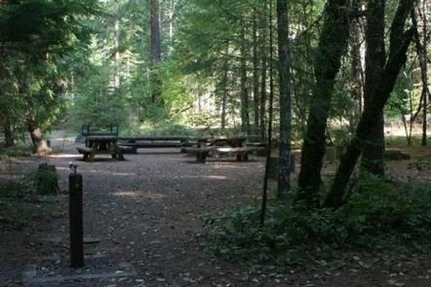 Deer Flat Group Site (Horseshoe Bend Campground) photo 4