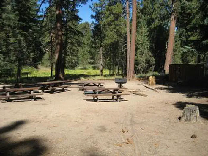 DEER GROUP CAMP photo
