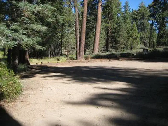 DEER GROUP CAMP photo 3