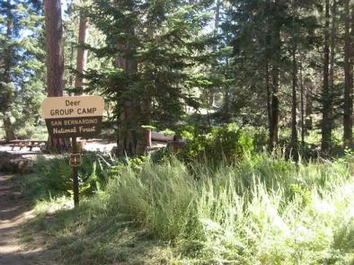 DEER GROUP CAMP photo 4
