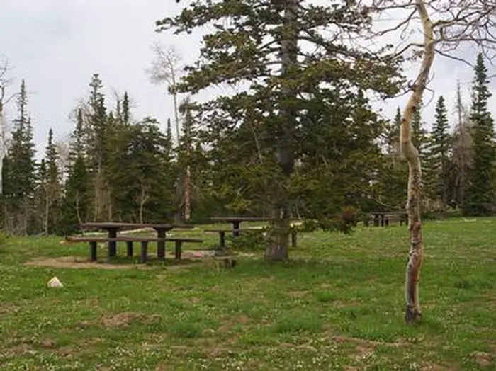 DEER HAVEN photo 3