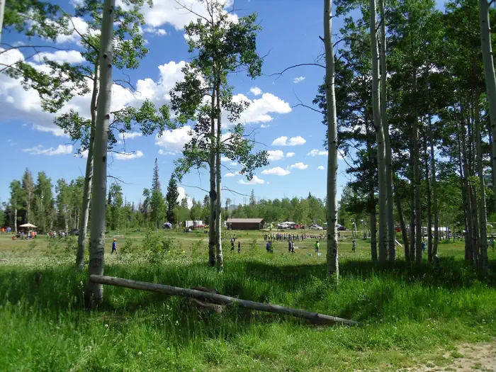 DEER HAVEN photo 4