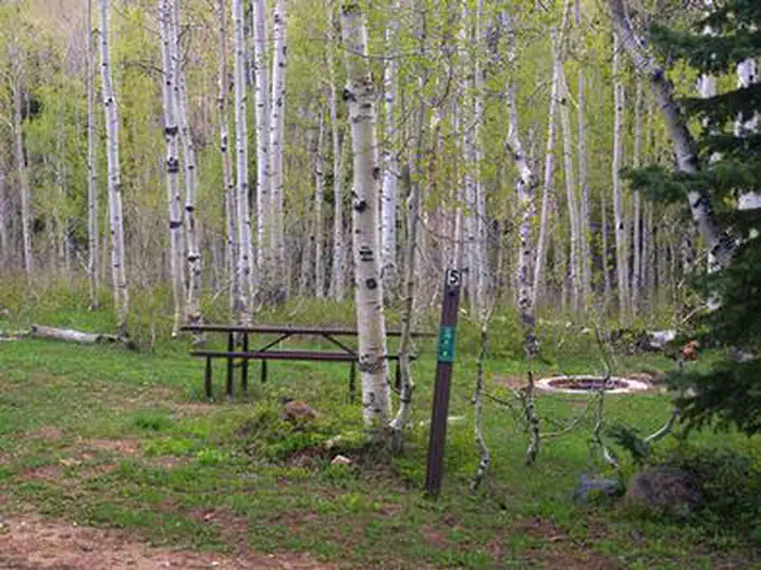 DEER HAVEN photo 5
