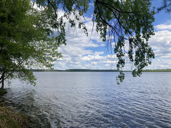 DEER LAKE photo 4