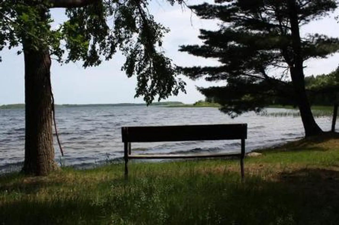 DEER LAKE photo 5