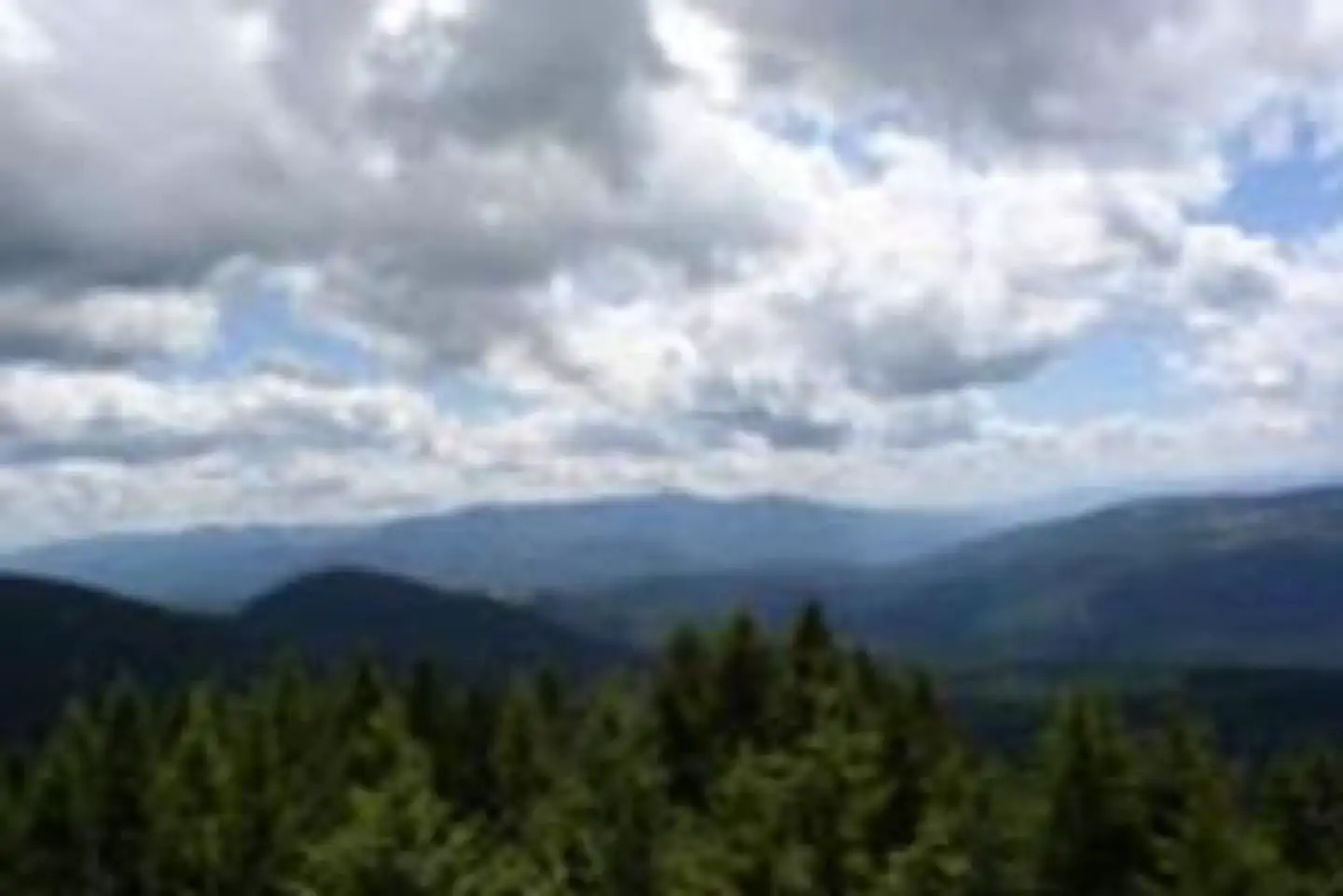 DEER RIDGE LOOKOUT photo 3