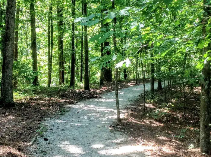 DEERLICK CREEK photo 3