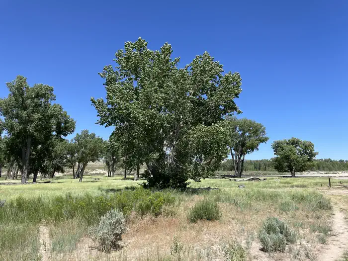Deerlodge Park Campground photo 4