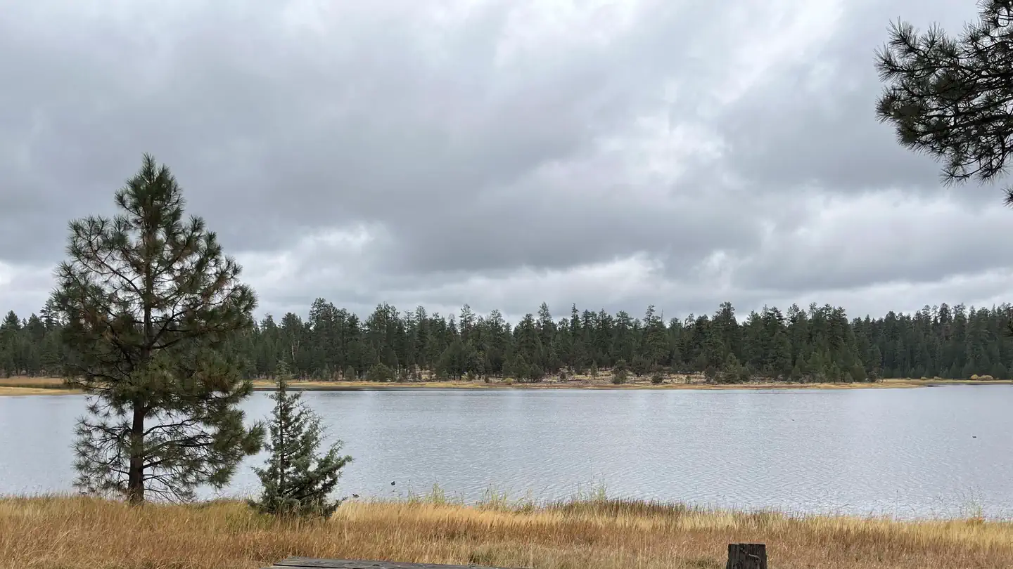 Delintment Lake Campground photo