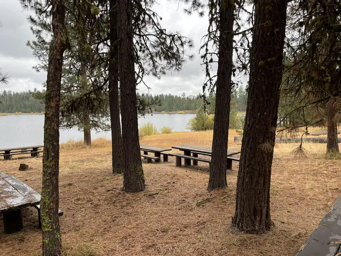 Delintment Lake Campground photo 3