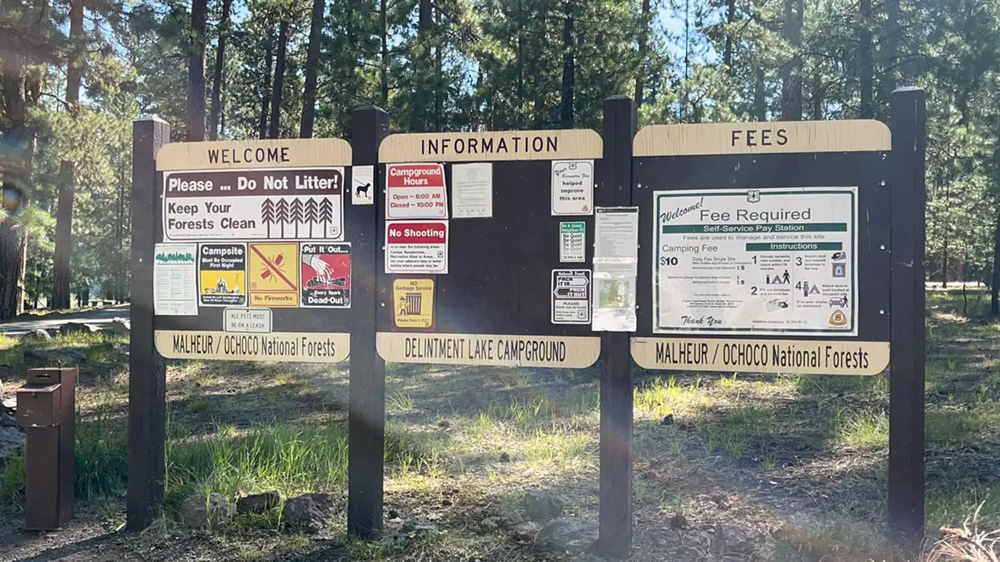 Delintment Lake Campground photo 5