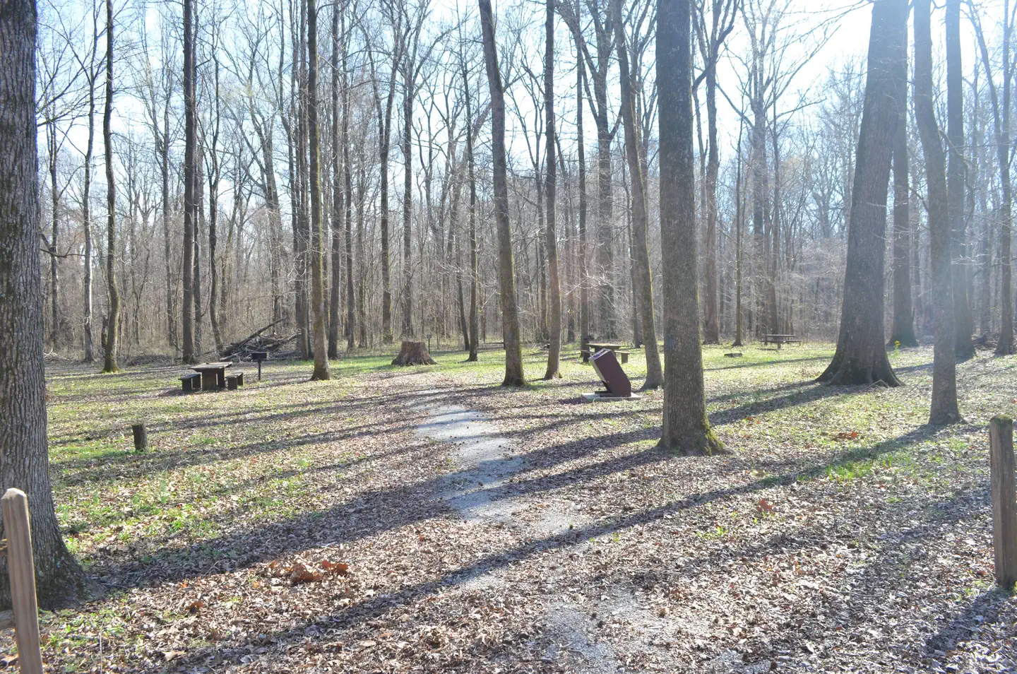 DELTA NATIONAL FOREST - CAMPING photo 4