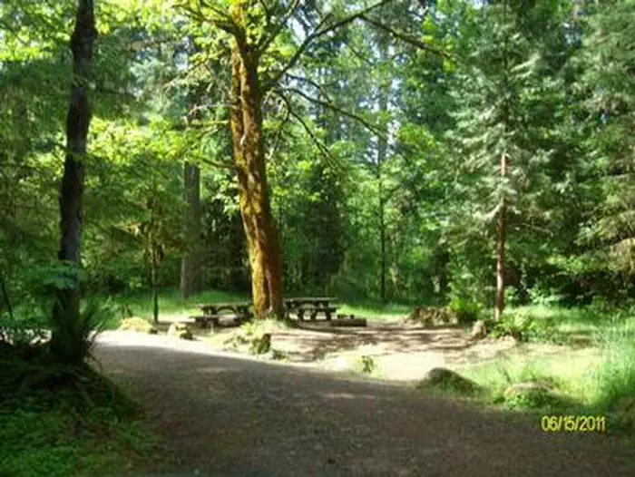 DELTA photo 3