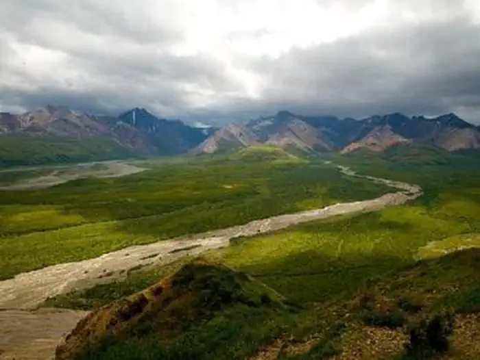 Denali National Park - Road Lottery photo 2