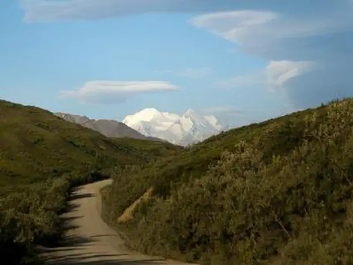 Denali National Park - Road Lottery photo 3